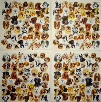 HUN-766 Hunde - 3-lagig - Ambiente